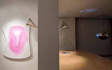 Rob Tarbell's Bird-like Things in Things Like Trees exhibition installation at Les Yeux du Monde Art Gallery